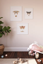 Load image into Gallery viewer, Vintage butterflies
