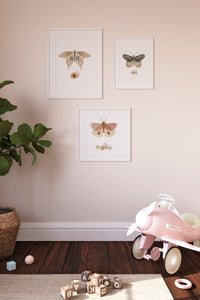 Vintage butterflies